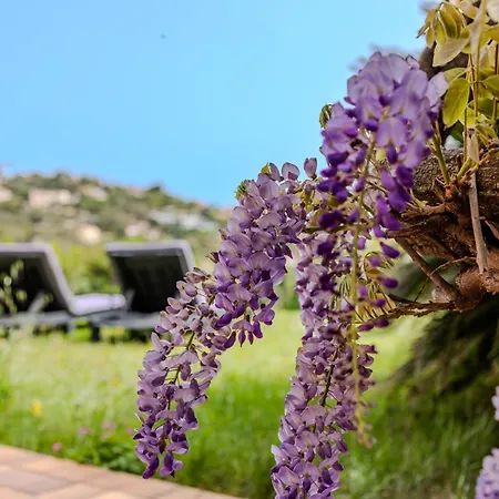 בית נופש Provenzalisches Haus Homard - Mit Privatem Garten Und Meerblick By Riviera Homelife *